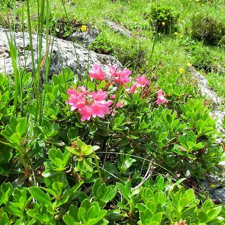 Haus Schitter Mauterndorf (Salzburg)